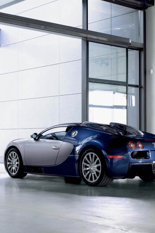 Carro-Bugatti-Veyron.jpg
