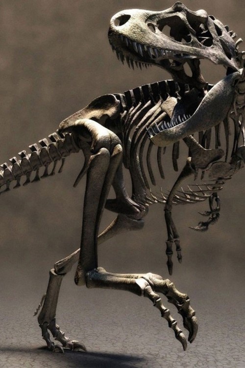 T-Rex-Esqueleto.jpg
